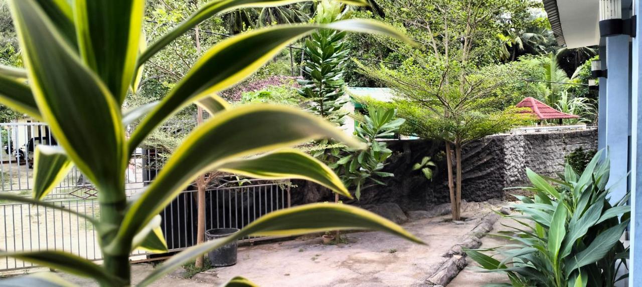 Sakila Homestay Kuta  Екстериор снимка