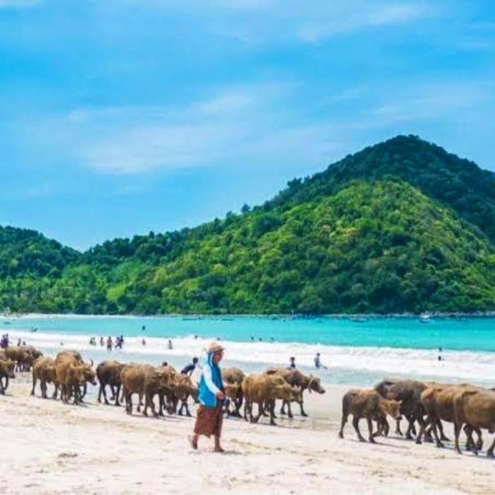 Sakila Homestay Kuta  Екстериор снимка