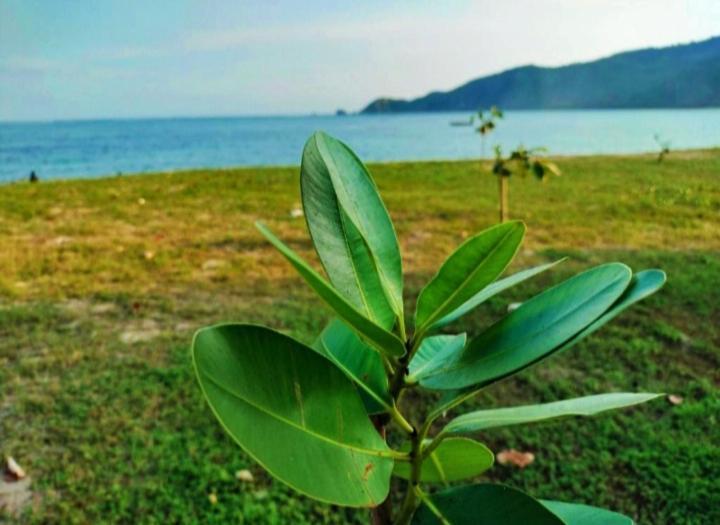 Sakila Homestay Kuta  Екстериор снимка